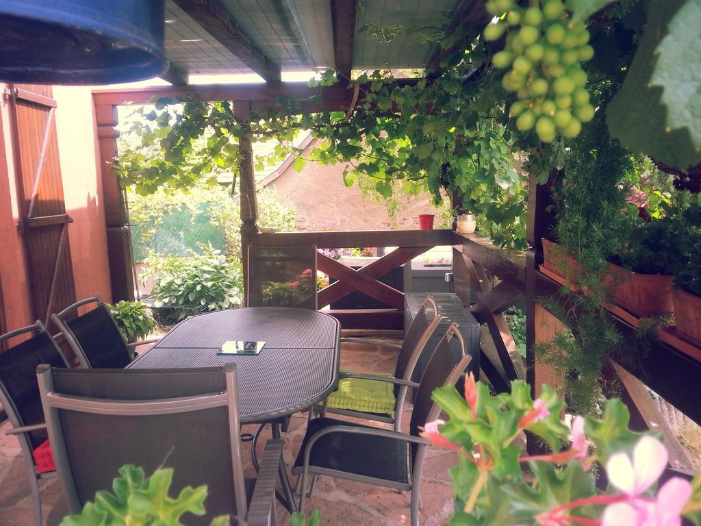 Bed and Breakfast Chez Yolande Nothalten Esterno foto